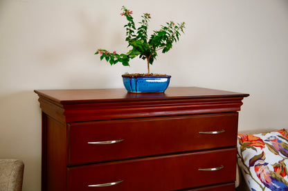 Manyara chest of 5 drawers